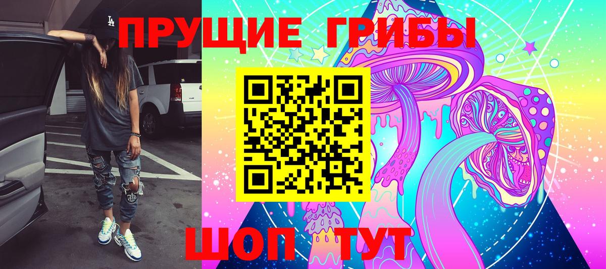 Псилоцибиновые грибы Psilocybine cubensis  купить   Курчатов  Вход с VPN 